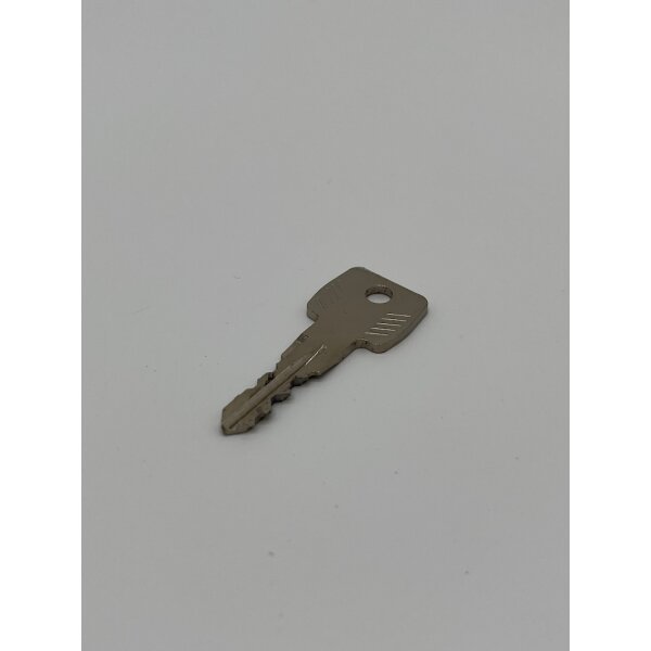 Thule Standard Key N163 Ersatzschlüssel